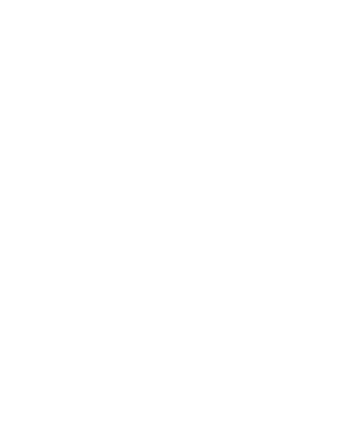 Luoyun Intelligent logo