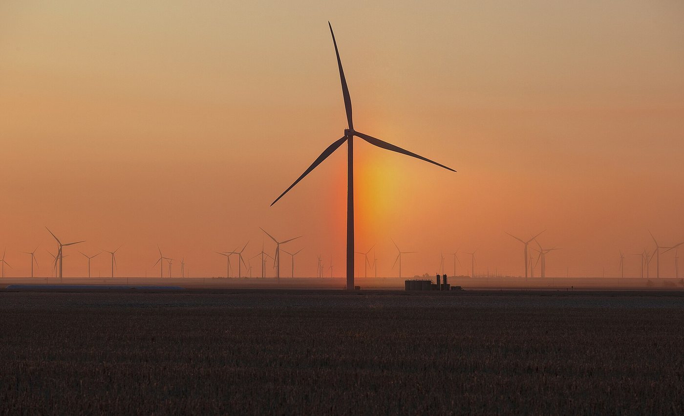Wind turbine field